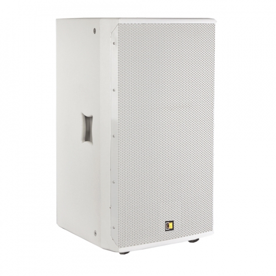 Väggzpeaker 12'' i gruppen Hembioutrustning hos Askås Testmiljö 7 (AUD-PX112MKII)